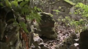【猟犬の仔犬と山登り】新椿トンネルの山奥に驚きの光景が?!