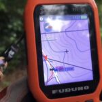 【狩猟】新米猟師が猟犬に思うこと【有害駆除】