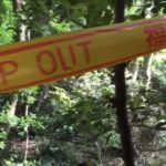 生後７ヶ月の猟犬の仔犬を連れて山入り