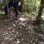 【猟犬の仔犬と山入り訓練】人っけのない山で、まさかの散歩人