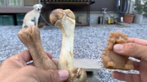 【猟犬】歯磨きおやつの好みの検証【愛玩犬】