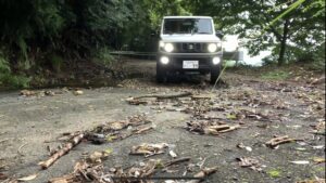 "エゾシカ"仕留めようと国道上で猟銃発砲し外す… 49歳男逮捕