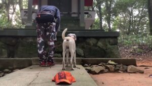 【JB64】ジムニーおじちゃんのハンティングライフ【猟犬と山へ】