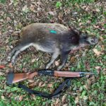 猟銃で撃たれた66歳男性死亡 シカ駆除中に誤射か 京都・綾部市
