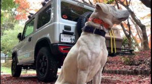 【JB64】JIMNY 4 LIFE的流行語大賞は「ジムニー納車難民」