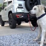【銃猟】令和2年度の狩猟者登録へ行ってきた!【有害駆除】