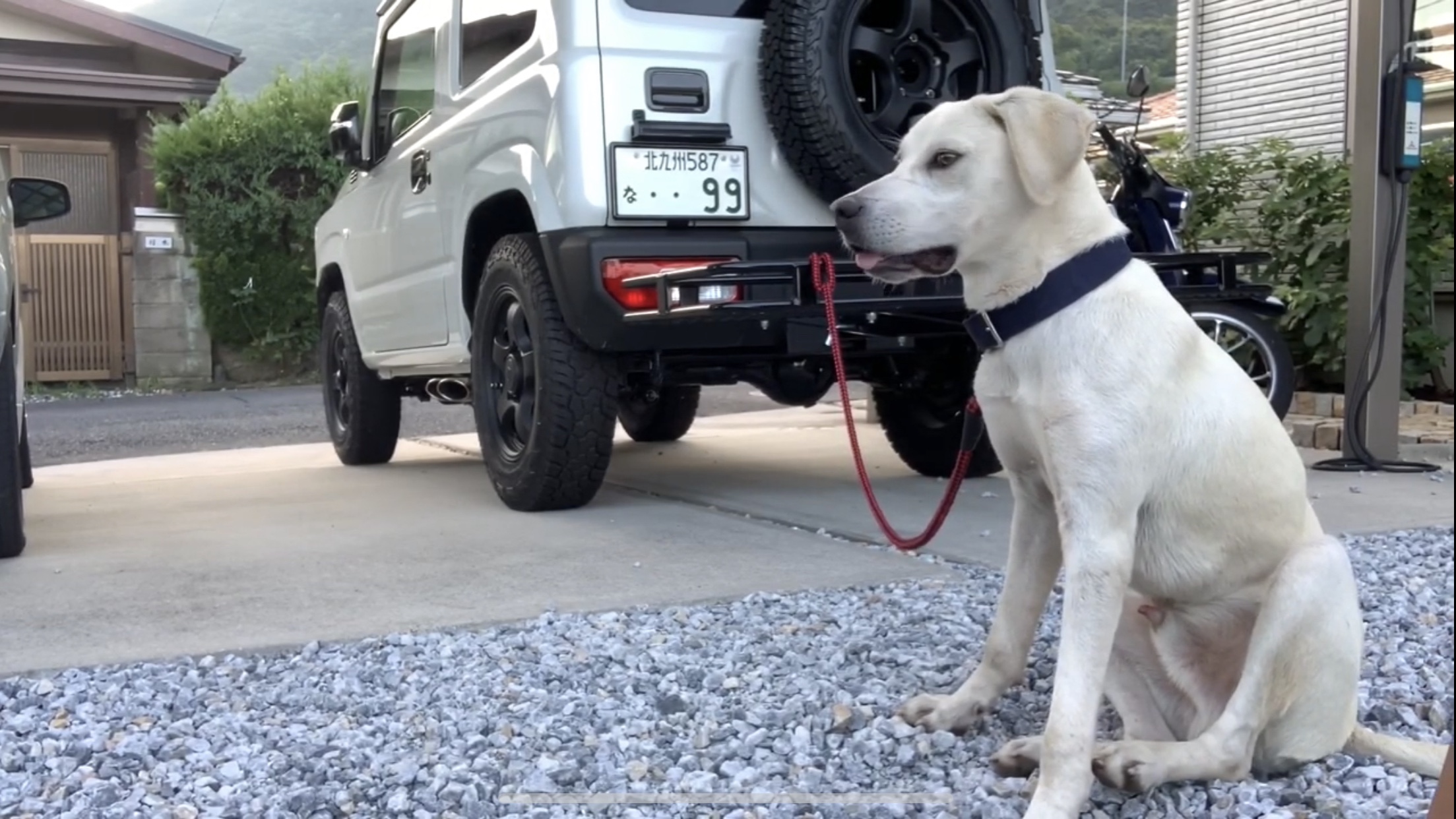 【銃猟】令和２年度の狩猟者登録へ行ってきた！【有害駆除】