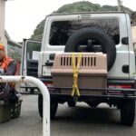 【狩猟】猪に返り討ちに遭う猟犬見習いと、滑落する新米猟師