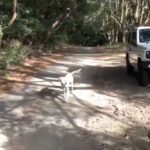 JB64ジムニーで会いましょう！