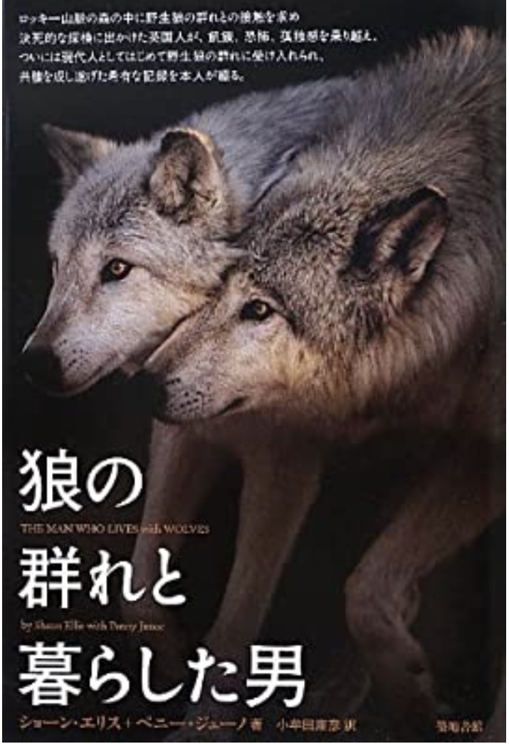 【狼の群れと暮らした男】オオカミから学ぶ狩猟スタイル