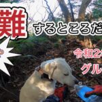 令和2年最後の有害駆除活動〜あわや遭難するところだった…〜