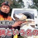 【狩猟】令和２年最後の単独猟という名の猟犬の訓練【イノシシ】