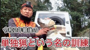 【狩猟】令和２年最後の単独猟という名の猟犬の訓練【イノシシ】