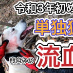 【狩猟】令和3年初めての単独猟で、イノシシにやられたか!?