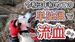 【狩猟】令和3年初めての単独猟で、イノシシにやられたか!?