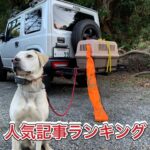 令和3年4月の人気記事ランキング!