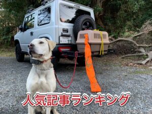 令和2年12月の人気記事ランキング!