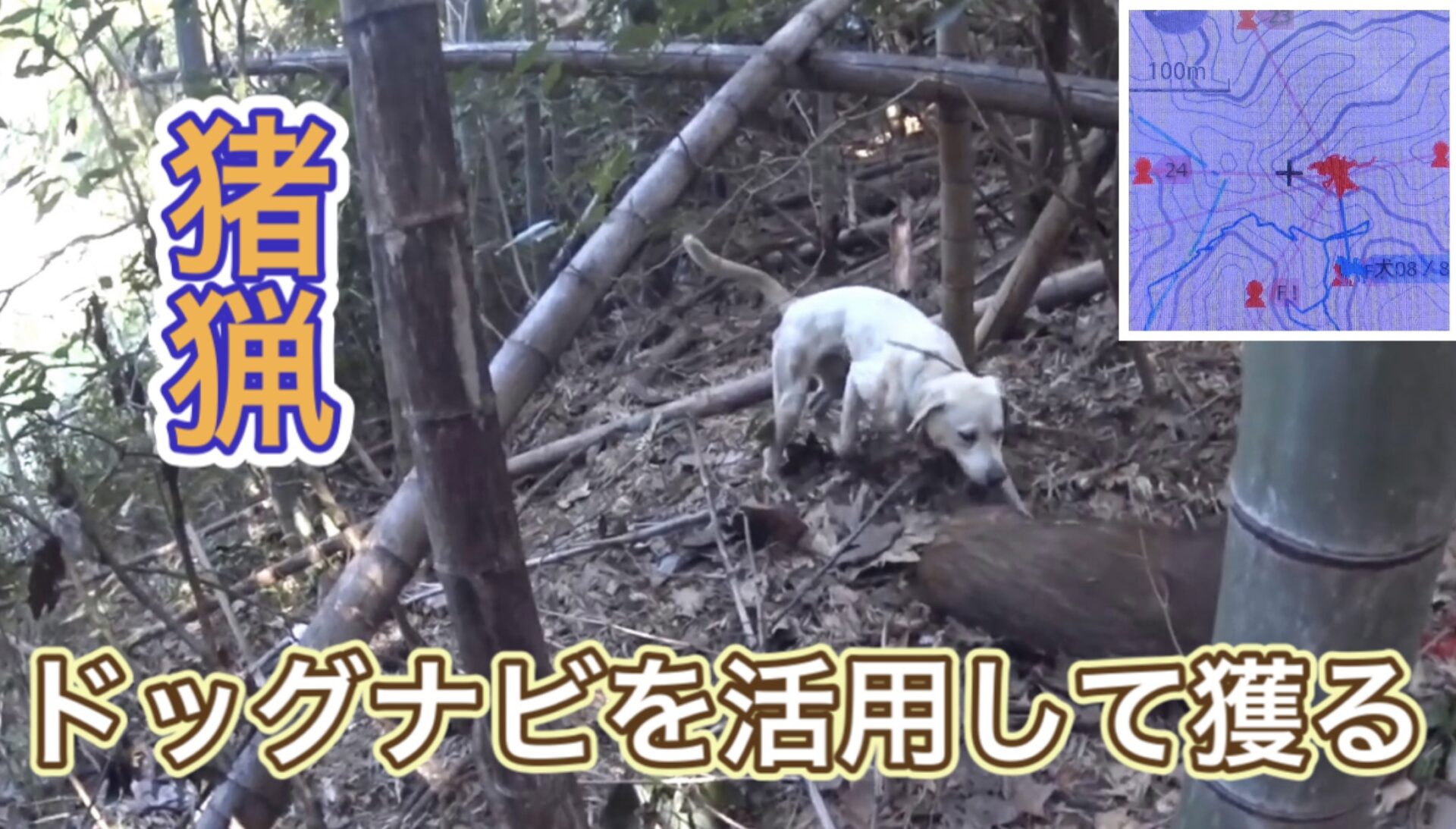 猟犬の代わりにドローン　京都府猟友会が追い込み猟の実証実験