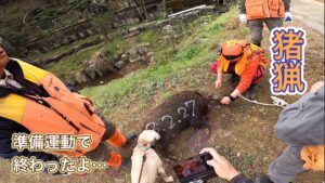サクッと大きなイノシシが獲れる時もある