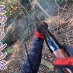 イノシシを撃つ新米猟師の射撃スキルを見よ!