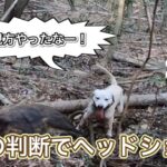 猟銃が暴発、仲間に命中 イノシシ猟の男性重傷 岐阜・高山市