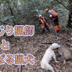 【イノシシ】しくじり猟師とがんばる猟犬【狩猟/有害駆除】
