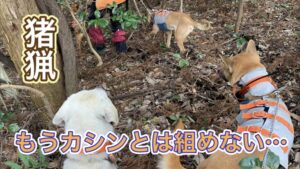 猟犬たちは共猟から競争へ
