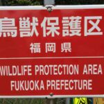 鳥獣保護区とはズバリ一言で言うと?!