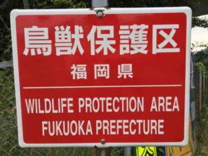 鳥獣保護区とはズバリ一言で言うと？！
