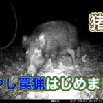 【狩猟】罠猟の始め方【イノシシ】