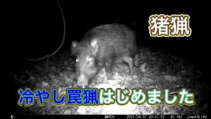 副業農園を襲ったイノシシ被害を乗り越えて 外資系社員が発信するブルーベリー商品