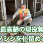 日本最高齢80才の現役勢子がイノシシを仕留める有害駆除