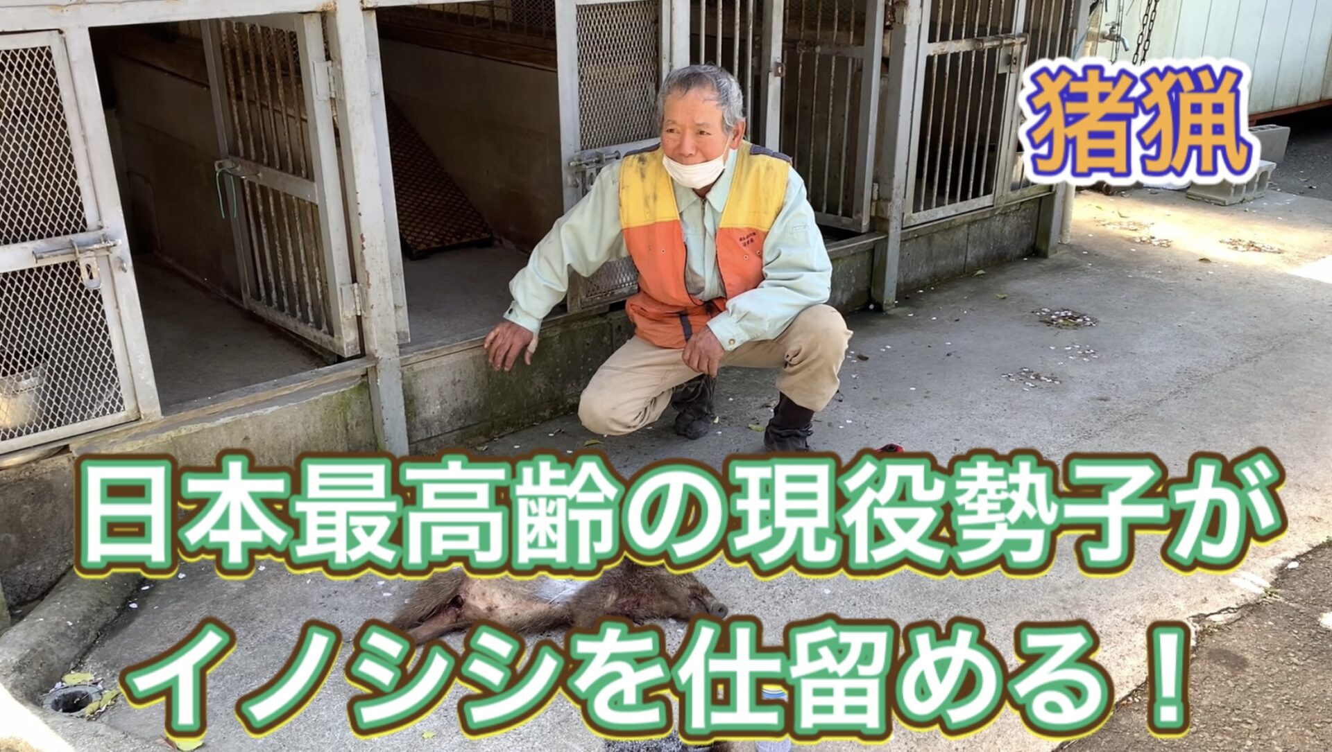 日本最高齢８０才の現役勢子がイノシシを仕留める有害駆除