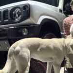 YouTubeにてライブ配信しました。