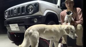 YouTubeにてライブ配信しました。