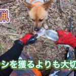 ハンティングはサバイバル〜猟隊で長生きするコツ〜