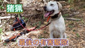 今シーズン最後の有害鳥獣駆除活動