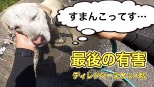 最後の有害駆除〜ディレクターズカット版〜