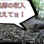 猟師の収入についてお答えします。