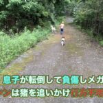 訓練中、息子が転倒して負傷、猟犬カシンは行方不明に…。