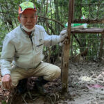 鹿児島県志布志市で初 一斉集中してイノシシをわなで捕獲する事業が始まる