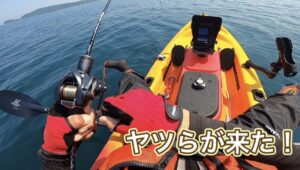 カヤックフィッシング第2戦目にして、ヤツらの襲来を受ける！
