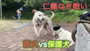 猟師と猟犬の休日