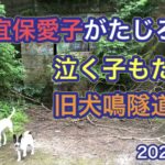 【日本屈指の心霊スポット】映画『犬鳴村』の舞台となった旧犬鳴トンネルに行ってみた!【霊感の強い方は注意】