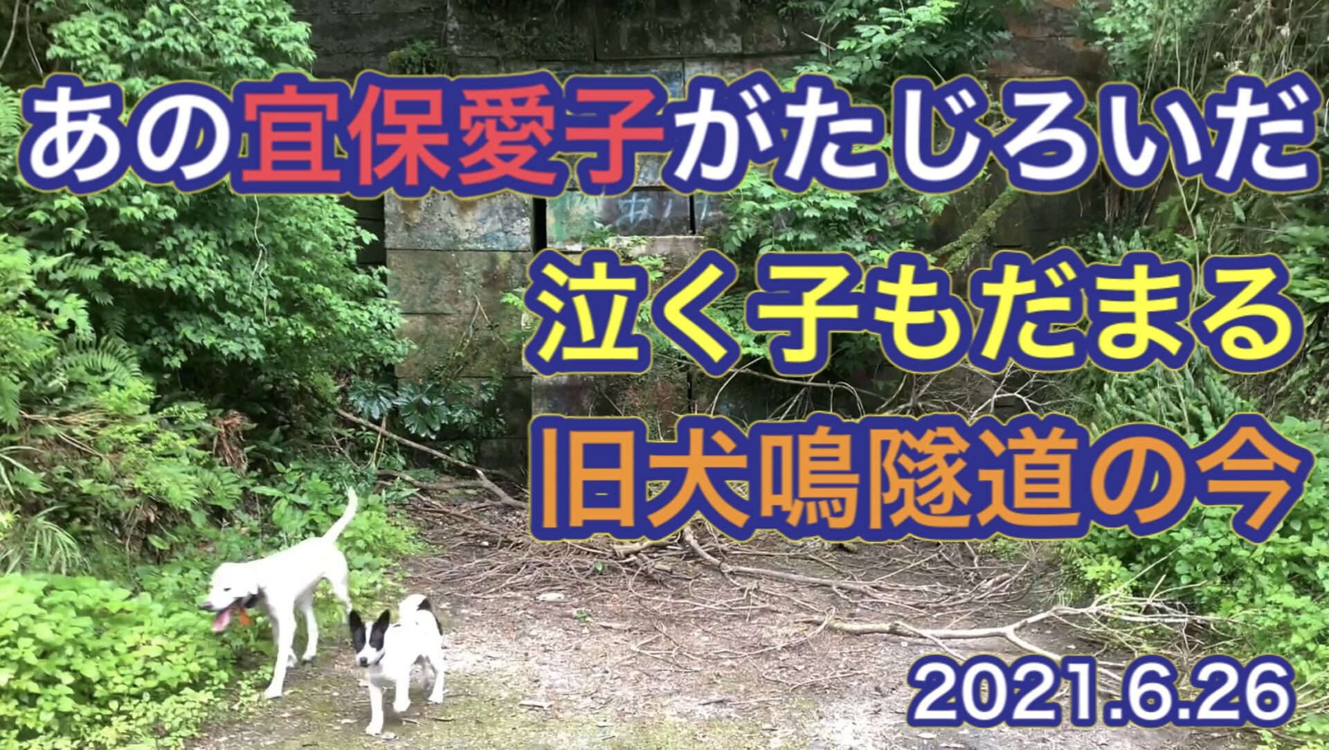 【日本屈指の心霊スポット】映画『犬鳴村』の舞台となった旧犬鳴トンネルに行ってみた！【霊感の強い方は注意】