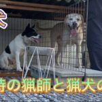 猟犬のお世話から始まる猟師の朝