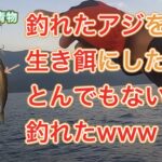 【初めての青物】釣れたアジを生き餌にした結果、とんでもない魚が釣れた件！【カヤックフィッシング】