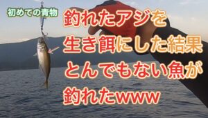 【初めての青物】釣れたアジを生き餌にした結果、とんでもない魚が釣れた件!【カヤックフィッシング】