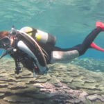 狩猟、ダイビングにおいて根本的に考え方を変えた方がいい事案