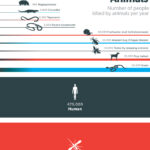 【ビル&メリンダゲイツ財団調べ】どの動物が人間を一番殺しているか?を調べたら驚きの結果に…